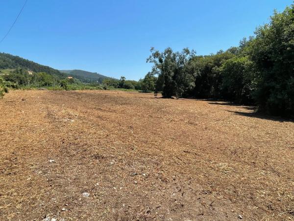 Terreno en carretera dp-3603 s/n