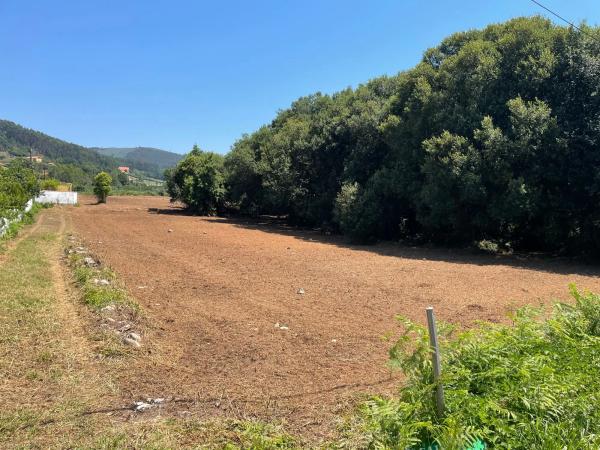 Terreno en carretera dp-3603 s/n