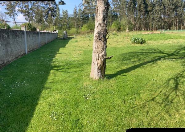 Terreno en calle Rio Ulla, 41