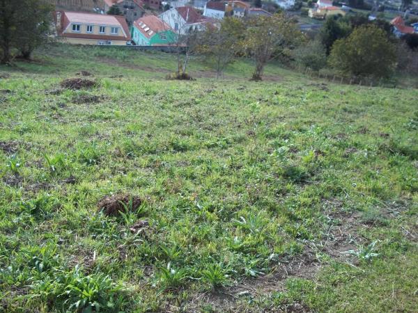 Terreno en Lugar Rozabella s/n