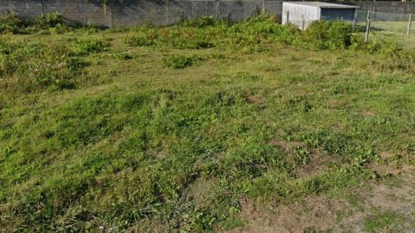 Terreno en calle Forcas, 8