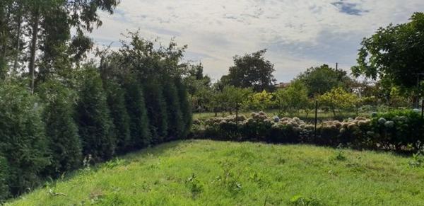 Terreno en Aldea a Malata s/n sn