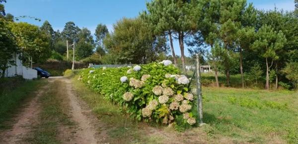 Terreno en Aldea a Malata s/n sn