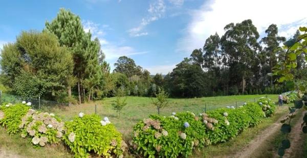 Terreno en Aldea a Malata s/n sn