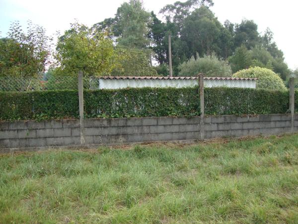 Terreno en Aldea Seselle, 105