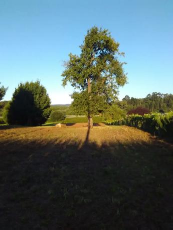 Terreno en calle Galiñeiro s/n sn