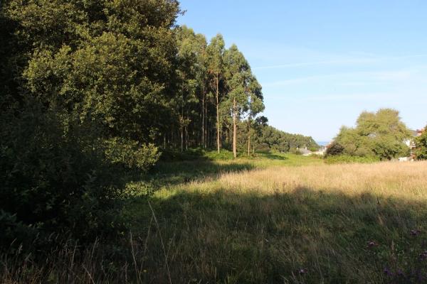 Terreno en Raxón Núcleo s/n Sinnmero