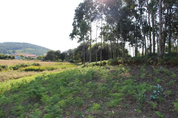 Terreno en Raxón Núcleo s/n Sinnmero