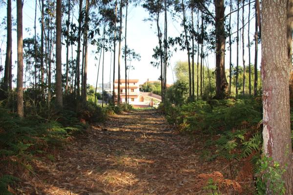 Terreno en Raxón Núcleo s/n Sinnmero