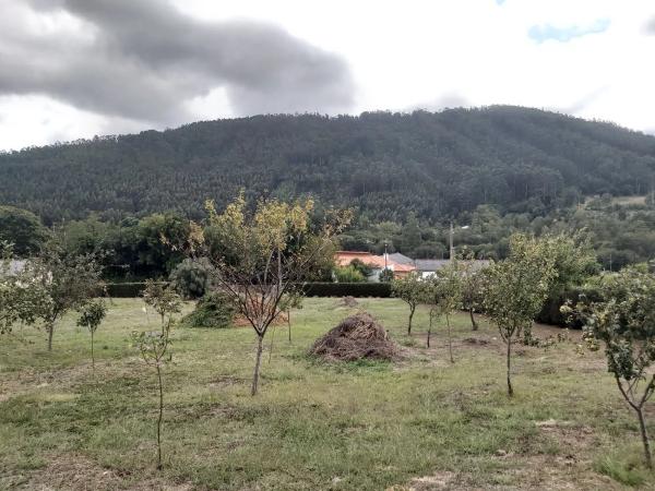 Terreno en Vilar s/n sn