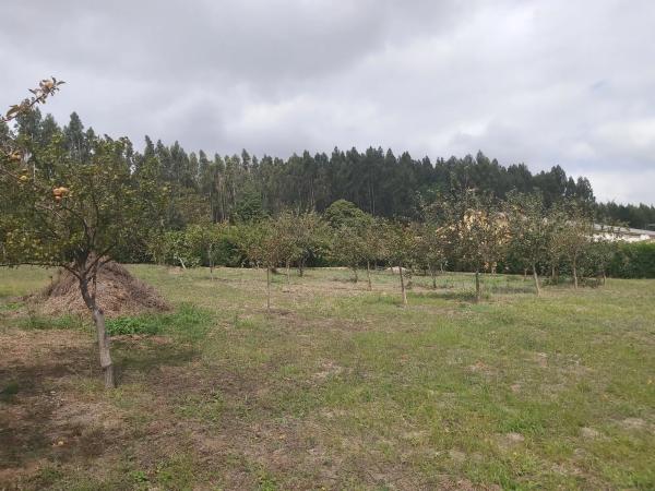 Terreno en Vilar s/n sn