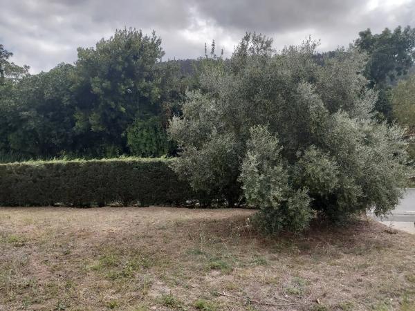 Terreno en Vilar s/n sn