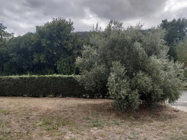 Terreno en Vilar s/n sn