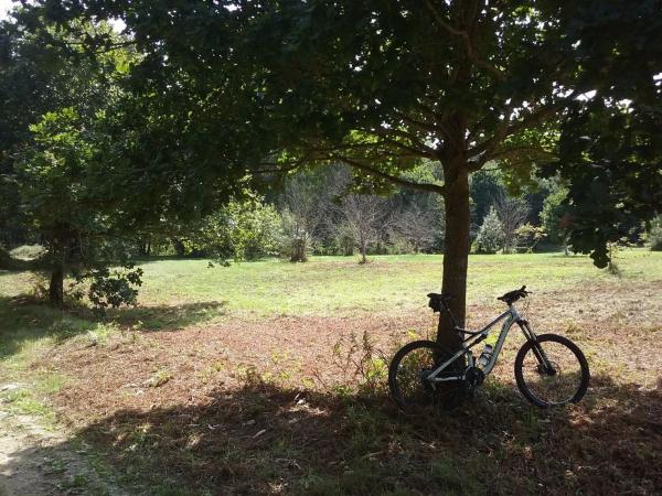 Terreno en pedrós s/n