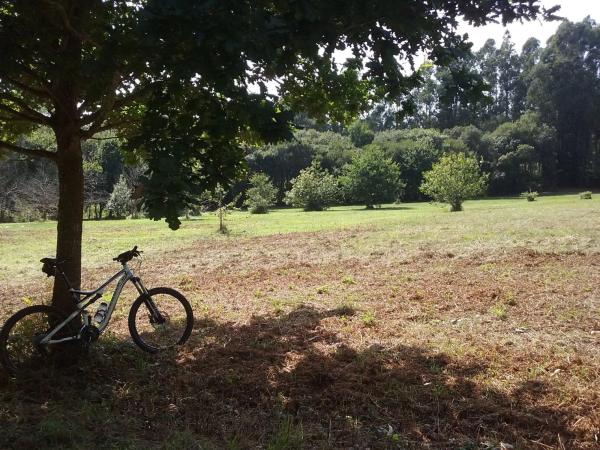 Terreno en pedrós s/n
