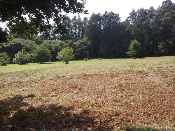 Terreno en pedrós s/n