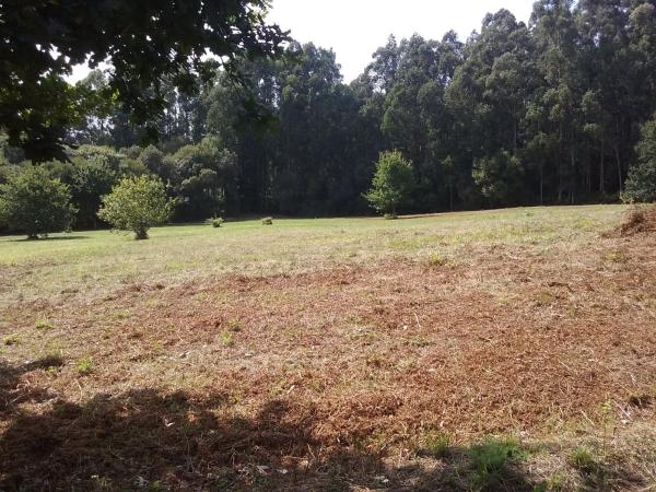 Terreno en pedrós s/n