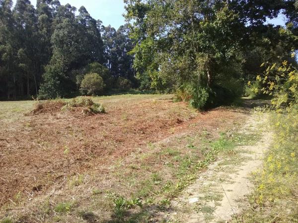 Terreno en pedrós s/n