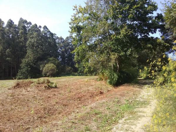 Terreno en pedrós s/n