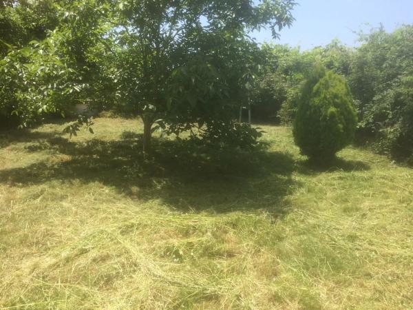 Terreno en carretera de Castilla, 462  464