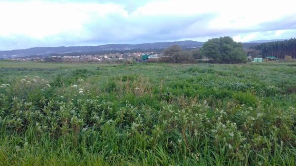 Terreno en ronda montefaro-baltar, 1