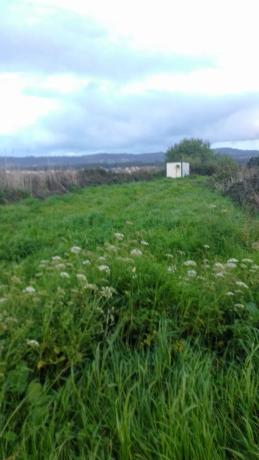 Terreno en ronda montefaro-baltar, 1