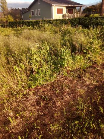 Terreno en ronda montefaro-baltar, 1