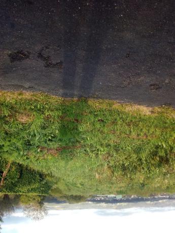 Terreno en ronda montefaro-baltar, 1