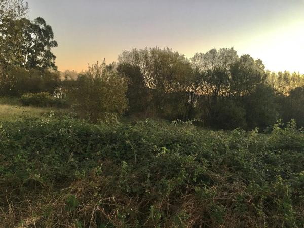 Terreno en santa rita, san xiao s/n