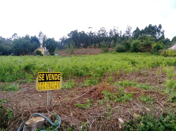 Terreno en Tras da Braña (Lugar da Cobeluda), km 504