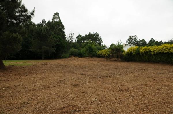 Terreno en Tras da Braña (Lugar da Cobeluda), km 504