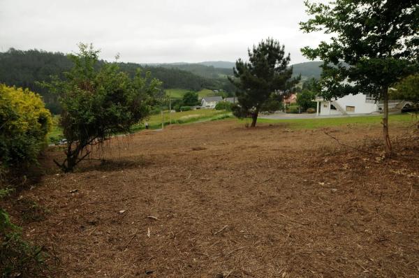 Terreno en Tras da Braña (Lugar da Cobeluda), km 504
