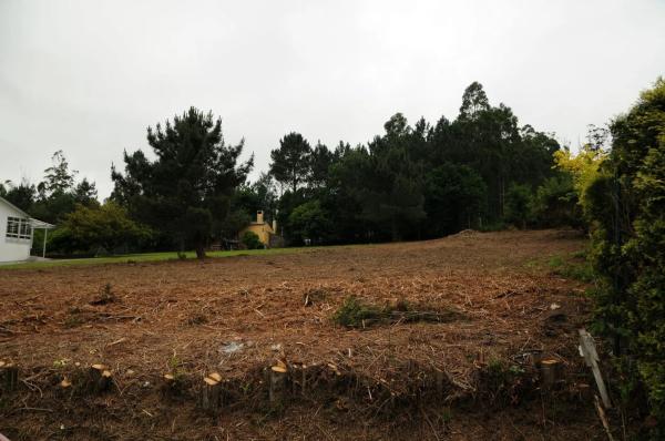 Terreno en Tras da Braña (Lugar da Cobeluda), km 504