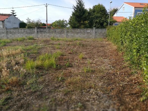 Terreno en calle Casas, 60