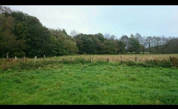 Terreno en As Lameiras Chas s/n