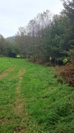 Terreno en As Lameiras Chas s/n