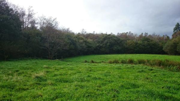 Terreno en As Lameiras Chas s/n