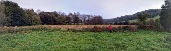 Terreno en As Lameiras Chas s/n