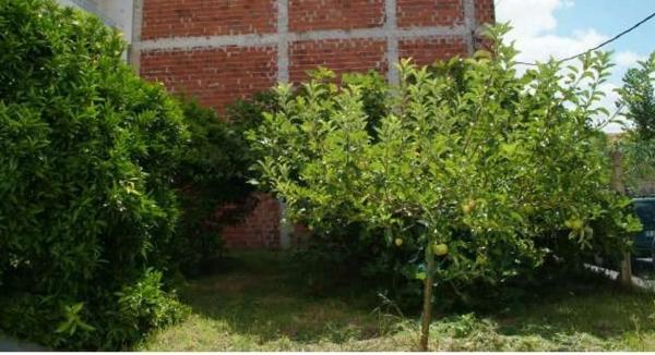 Terreno en calle Estrada, 25