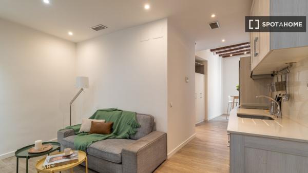 Estudio en alquiler en El Raval, Barcelona