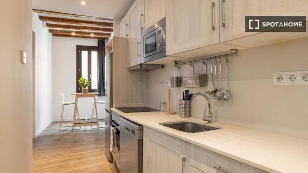 Estudio en alquiler en El Raval, Barcelona