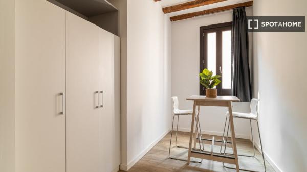 Estudio en alquiler en El Raval, Barcelona