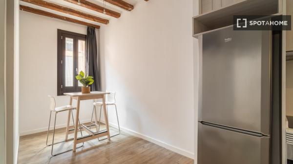 Estudio en alquiler en El Raval, Barcelona