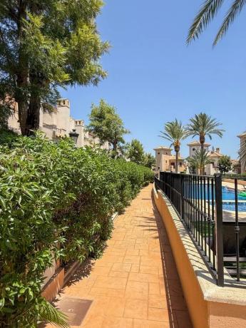 Chalet adosado en avenida Antonio Pedrera Soler s/n