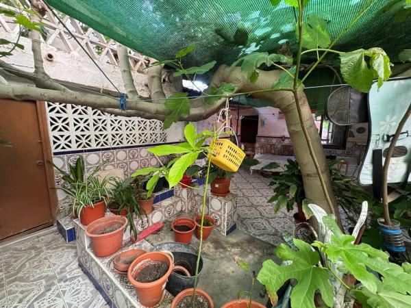 Chalet adosado en calle José García, 28