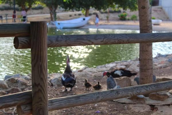 Casa independiente en C. Antonio Buero Vallejo