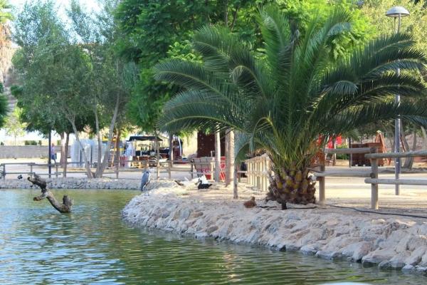 Casa independiente en C. Antonio Buero Vallejo