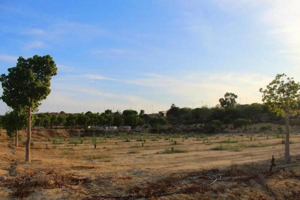 Casa independiente en C. Antonio Buero Vallejo