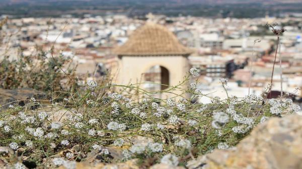 Chalet adosado en calle Bélgica, 1