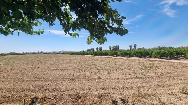 Casa independiente en Diseminado Diseminados, 127